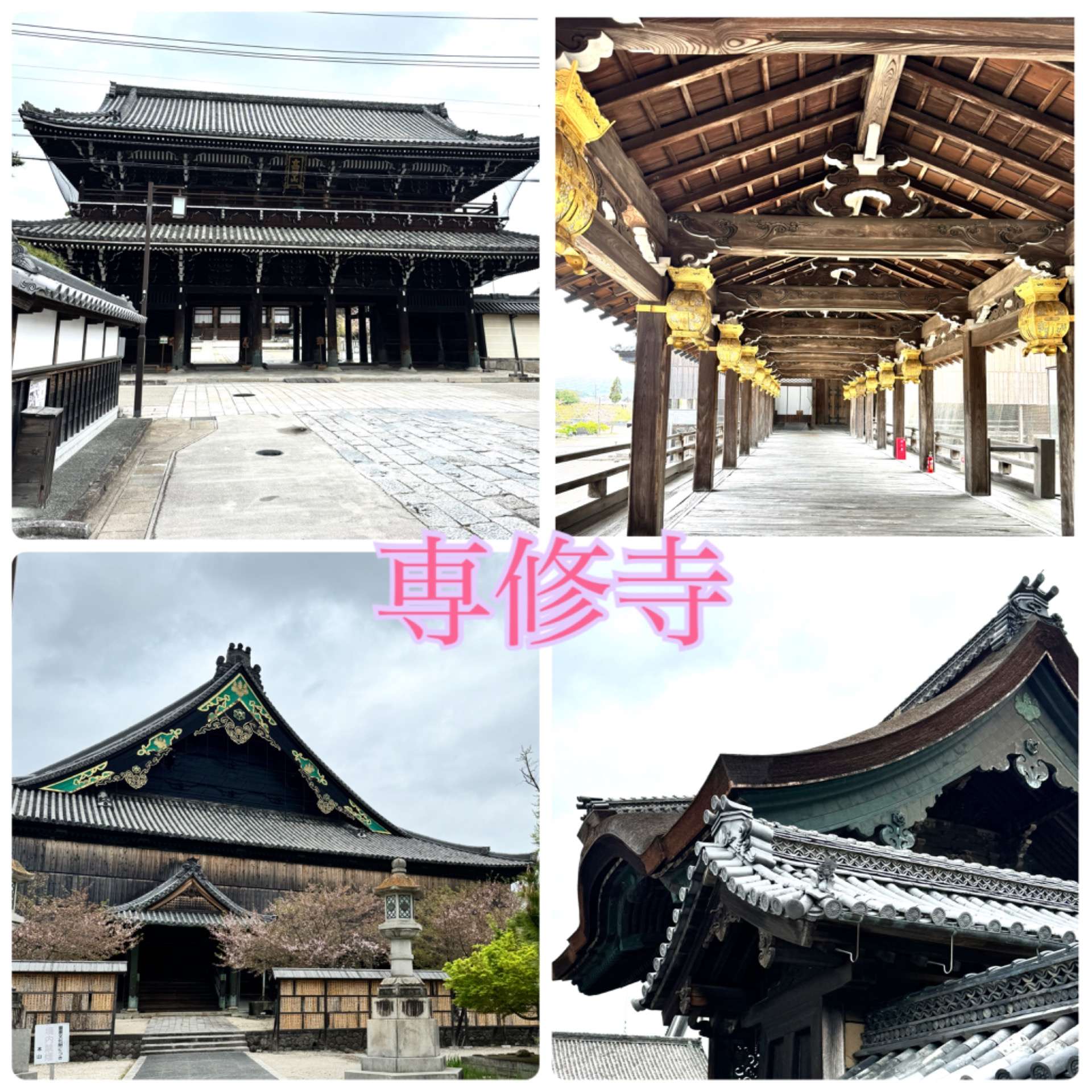三重県の専修寺へ