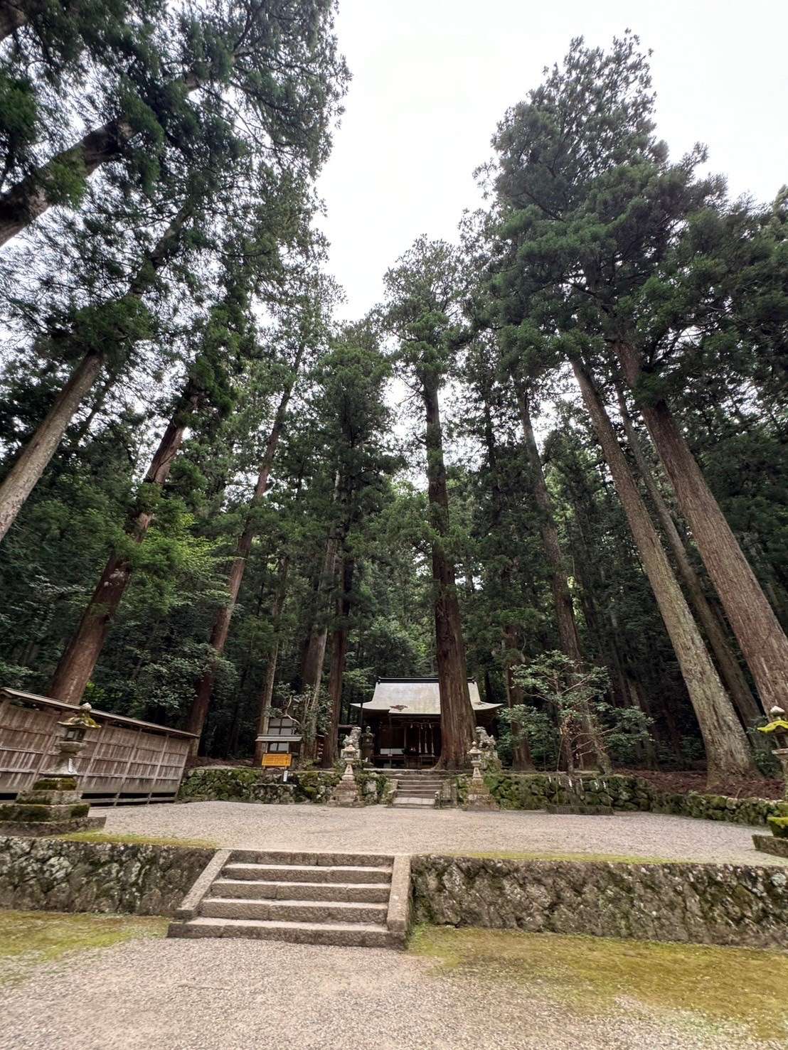 奈良県⭐︎神社