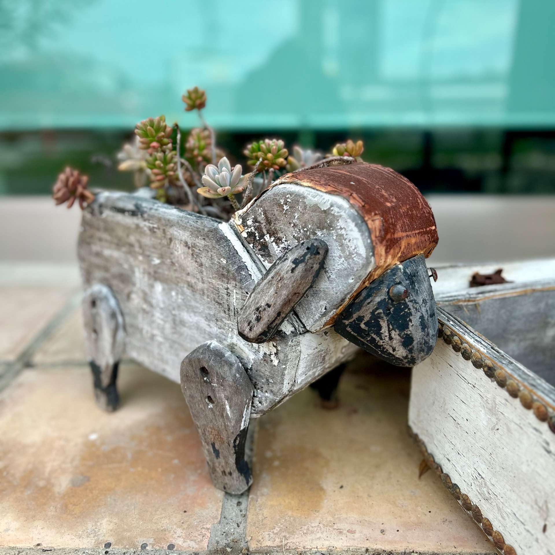 7月優先予約のご案内🍀* ゚