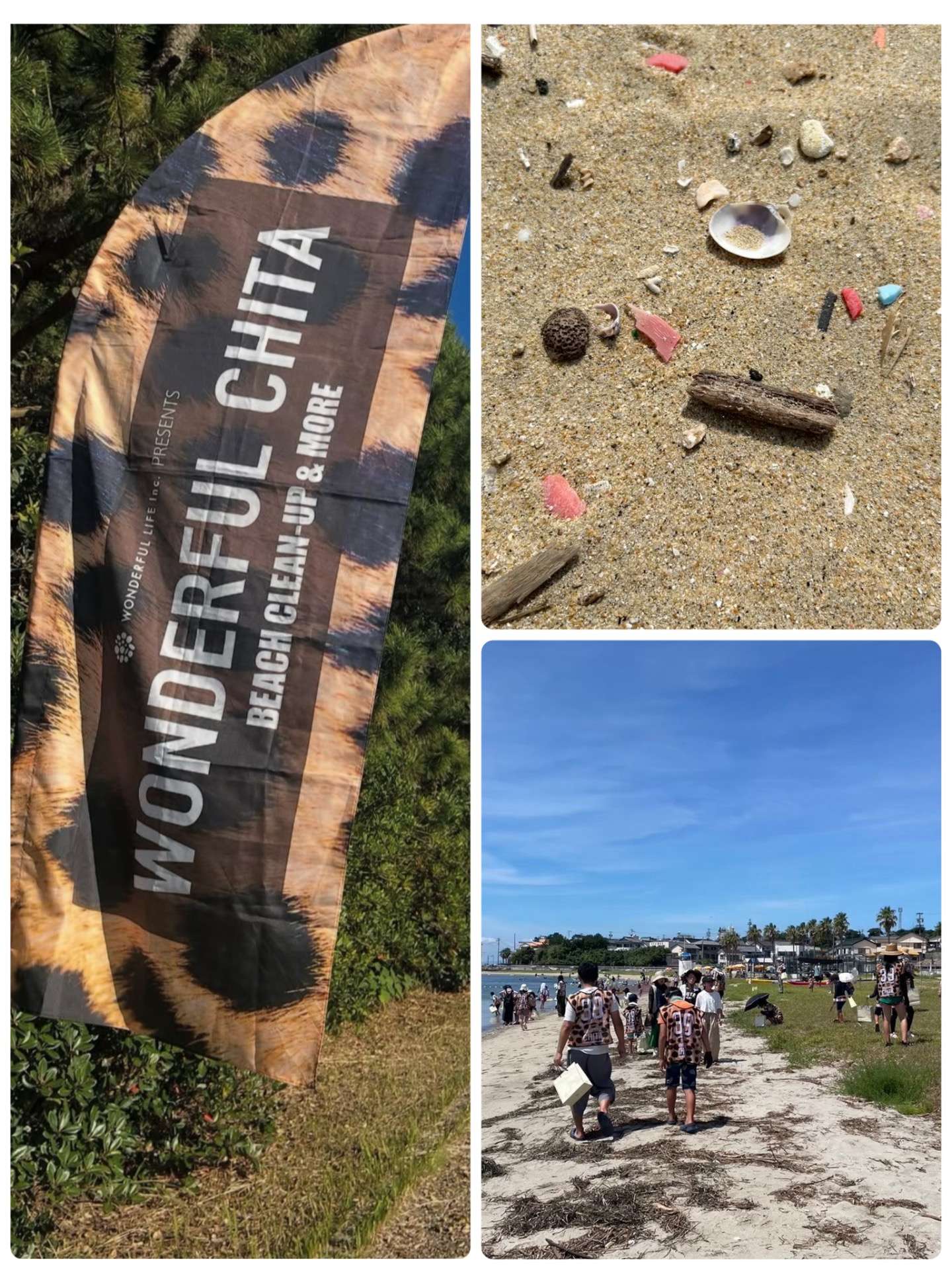 日間賀島でビーチクリーン✨