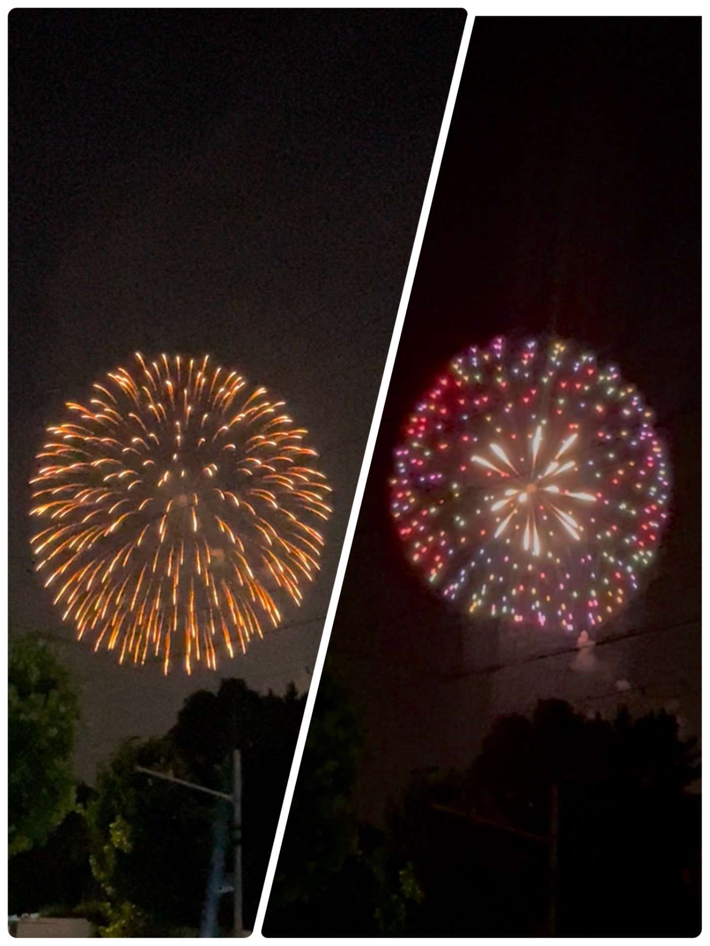 今年初の花火大会✨