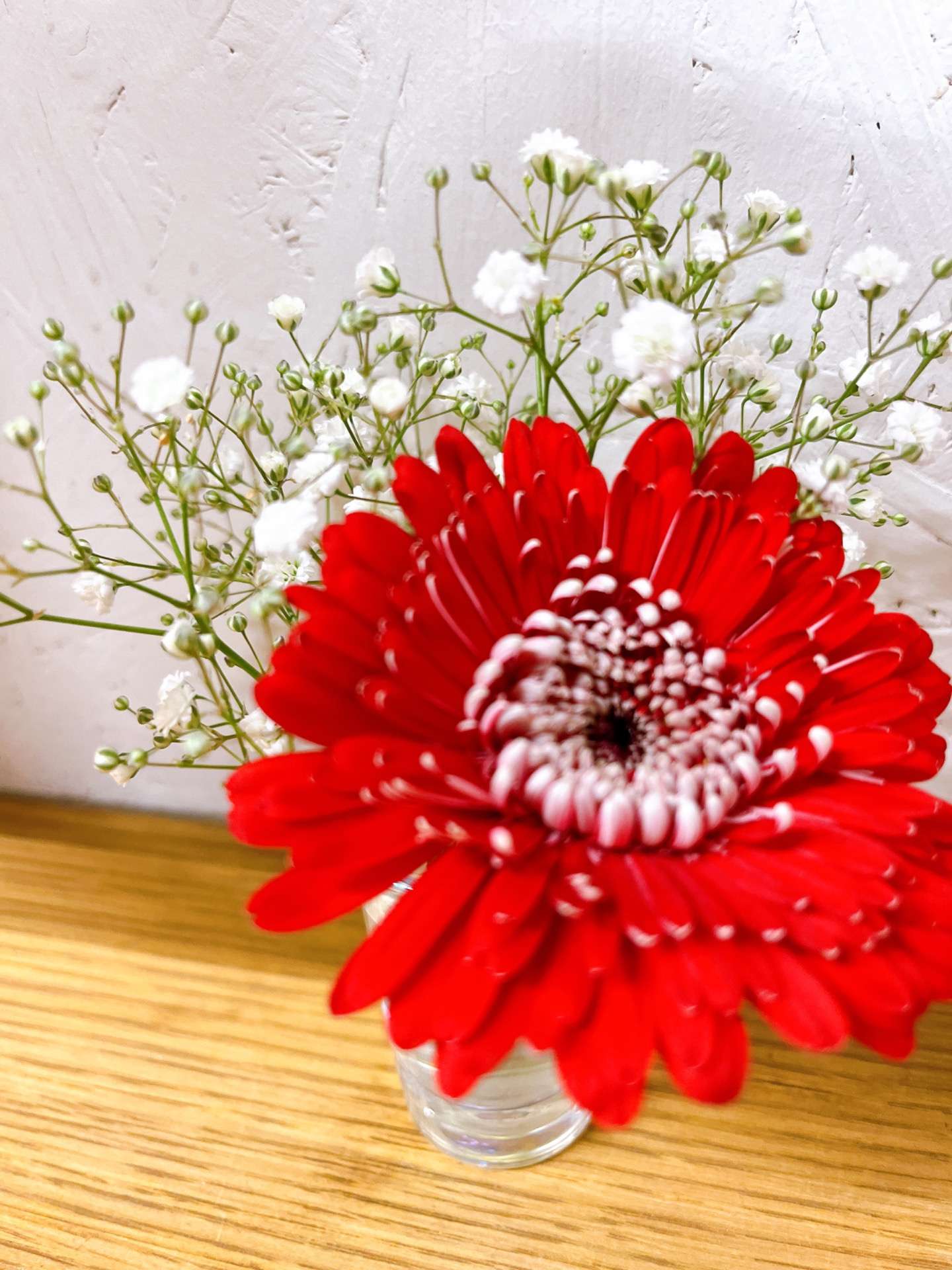 可愛いお花がやって来ましたよ☺️