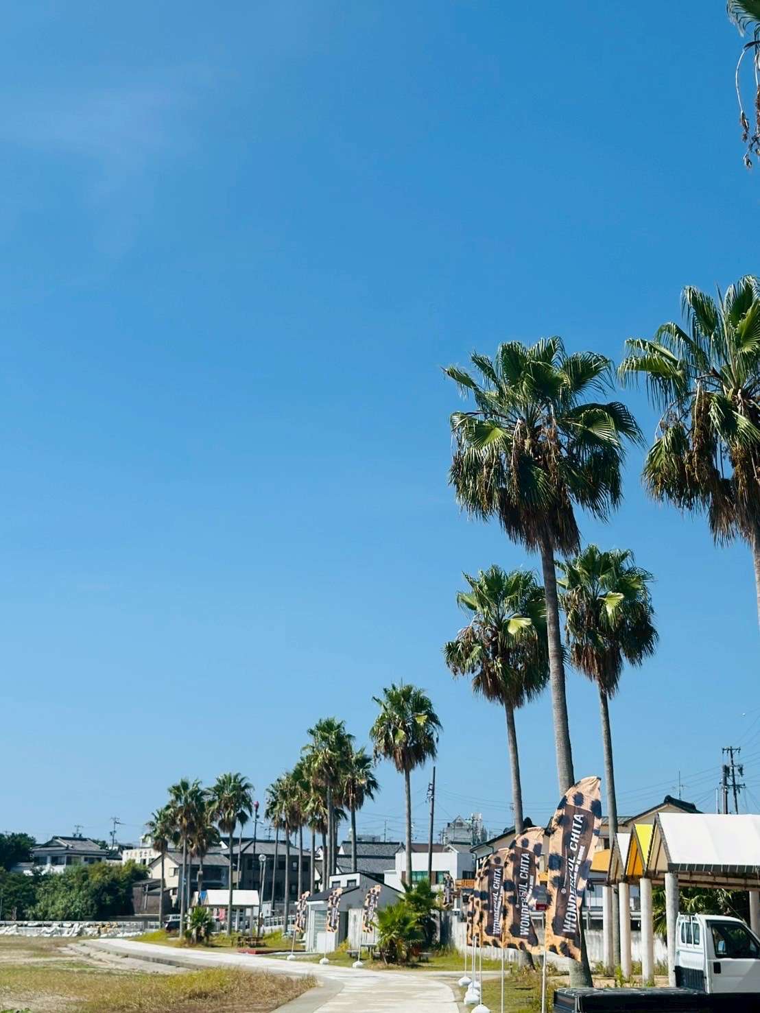 ビーチクリーンナップ告知