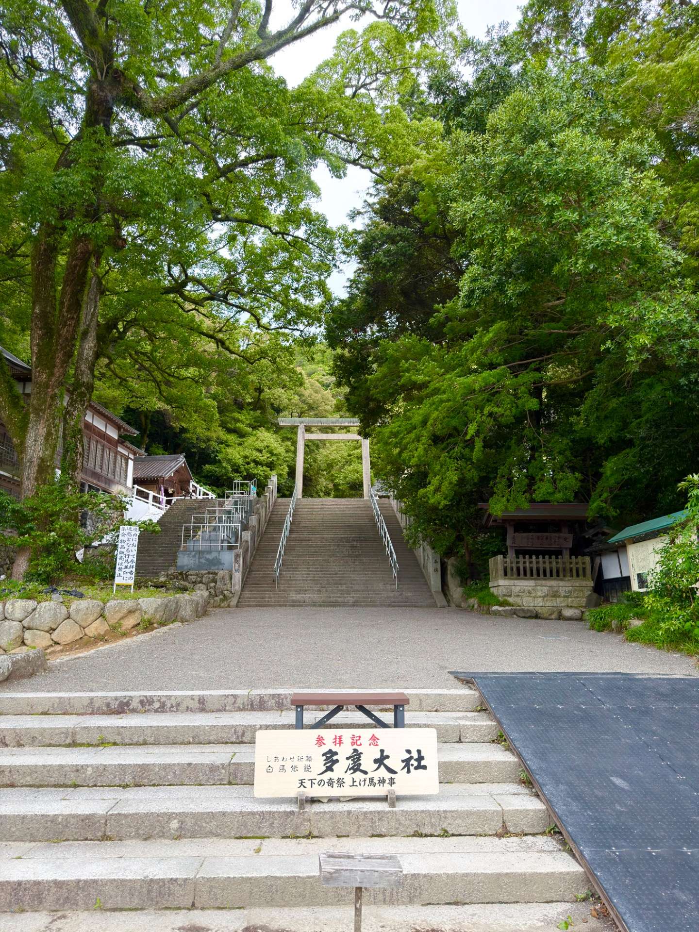 神社参拝へ